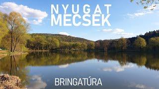 Nyugat-Mecsek bringatúra