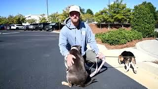 Dave Portnoy and Miss Peaches meet Pete the Beagle