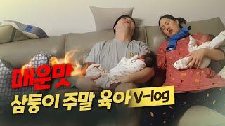 매운맛 주말 육아 브이로그 + 삼둥이 육아템 소개