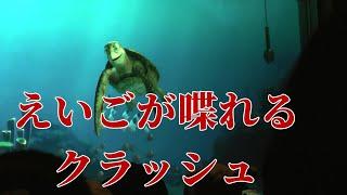 えいごが喋れるクラッシュ【タートルトーク】東京ディズニーシー