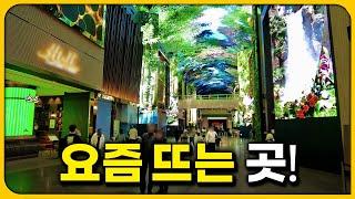 Amazing travel destinations in Korea accessible by Arex Express | Solo Travel