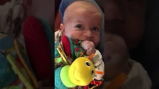 Lamaze Freddie The Firefly