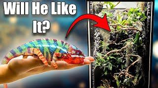 Chameleon Enclosure |How To Build A Hybrid Reptile Cage PVC or Wood DIY| Bioactive Vivarium.