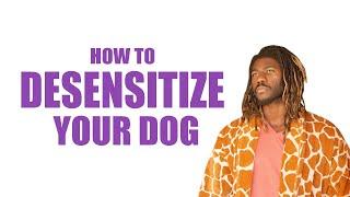 HOW TO DESENSITIZE YOUR DOG