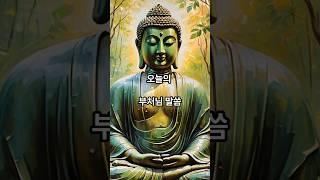 9월 3일 오늘의 부처님 말씀. #부처님 #말씀 #명언 #잠언 #힐링 #명상 #명상수업 #좋은글 #불교 #교리 #불교사상 #마음공부