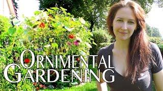 Vertical gardening: How to grow a garden with Scarlett & Squash Update