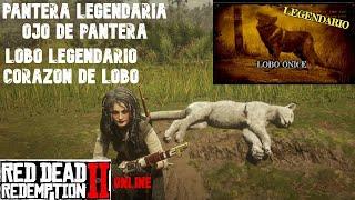 COMO CAZAR EL LOBO Y PANTERA LEGENDARIOS PARA LA *COLECCION DE FIERAS*/RED DEAD REDEMPTION 2 ONLINE