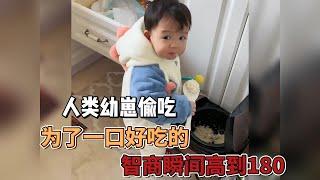 人類幼崽爆笑偷吃，掩耳響叮當，爲了一口好吃的，幼崽智商瞬間吊打愛因斯坦！