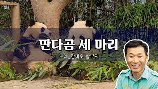 노래하는 강바오  판다곰 세마리  Panda Fubao's Grandpa Singing