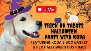 LIVE - Trick Or Treats Party With Koda & Friends 