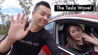 The Tesla Wave | Ludicrous Feed | Tesla Tom