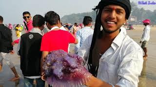 Ganpatipule Temple Darshan Beach Water Sports at Ganpatipule Paragliding Paramotoring Jellyfish