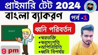 বাংলা ব্যাকরণ//ধ্বনি পরিবর্তন// dhoni poriborton//Bengali grammar// primary tet Bengali grammar 2024