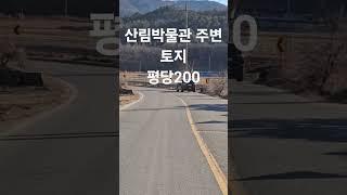 산림박물관 바로앞 #싼토지