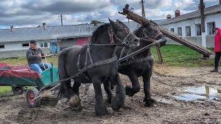 НА ТЕРНОПІЛЬЩИНІ ЕМОЦІЇ ЗАШКАЛЮЮТЬ/ВІТАЛІЙ ТА ПЕТРО ЯК ЗАВЖДИ МОЛОДЦІ