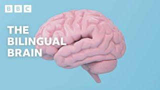 The AMAZING scientific benefits of being bilingual | BBC Ideas - BBC