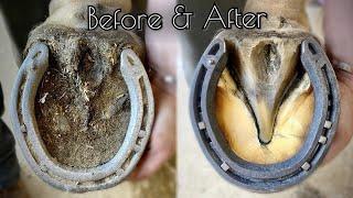 SATISFYING HORSE HOOF RESTORATION!