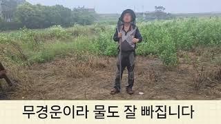 들깨 2배 수확하는 법