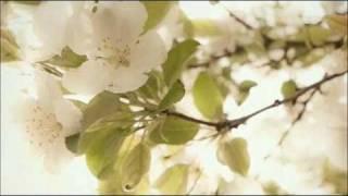 A. Vivaldi: Op. 2 n. 7 - Sonata for violin & b.c. in C minor (RV 8) / Ensemble Pian & Forte