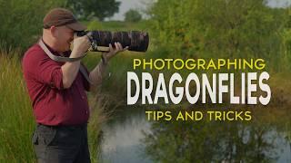 Photographing Dragonflies with the Sony A1 | Tips and Tricks