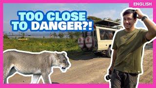 AFRICAN SAFARI DOs and DON'Ts in Kenya & South Africa + Mistakes to Avoid • The Poor Traveler