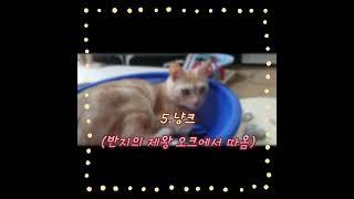 망고의 별명2