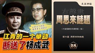 周恩来谜题28集|周恩来和林彪|文革五个回合的斗争|江青做了什么导致杨成武下台|周恩来步步退让林彪实力大增  [历史有声书] 天涯虚声:#不被理解的毛泽东(卷五)