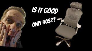 Temu Office Chair Review