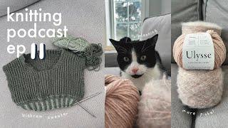 Back from a break | Biskrem Sweater, Back Yoke Sweater, Knit bag | Knitting Podcast Feb 2025 | ep 11