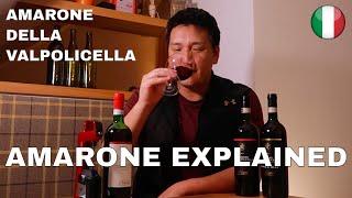 Big RED WINE | Amarone Explained