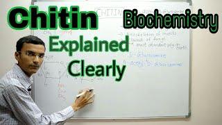 Chitin | Chitin structure | Biochemistry