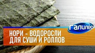 Галилео  Нори - водоросли для суши и роллов