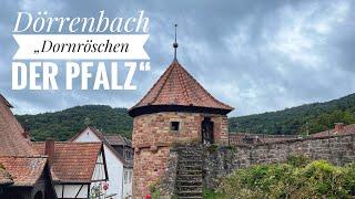 Dörrenbach "Dornröschen der Pfalz" Wanderung im Pfälzer Wald bei Bad Bergzabern 4K UHD