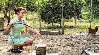 Making rural dry bread | Village Life morning routine baku | rural Butter bread