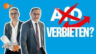 Was ein AfD-Verbotsverfahren bringen würde  | Inside PolitiX