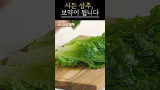 시든 상추, 절대 버리지 마세요｜보약보다 좋습니다