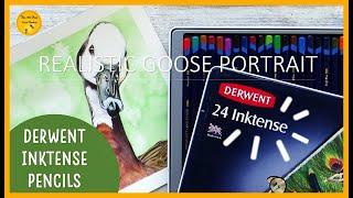 DERWENT INKTENSE Pencils: Features, tips, techniques and painting a GOOSE portrait