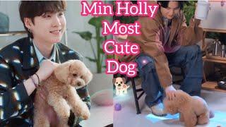 Min Holly Most Cute Dog 