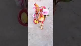 #comedy #short #video# Abdul Wahid