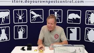 Rodent Traps and Rodent Trapping Tips