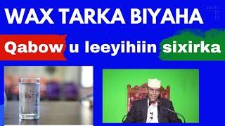 AAYAAT KA IYO DHIRTA LAGULA TACAALO XANUUNADA RUUXIGA AH SH MAXAMED SH ISMAACIIL