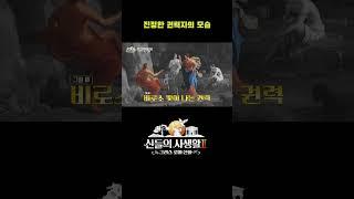 진정한 권력자의 모습 #shorts | MBN 신들의사생활2
