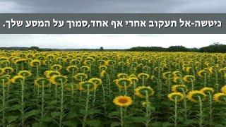 האומץ להאמין בעצמך/אל תעקוב אחרי אף אחד,סמוך על המסע שלך- ניטשה The courage to trust yourself