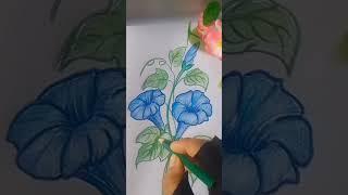 morning glory #flowers #art #drawing #youtube #artist