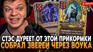 СТЭС ДУРЕЕТ ОТ ЭТОЙ ПРИКОРМКИ НА ЗВЕРЯХ! SilverName Сильвернейм Hearthstone