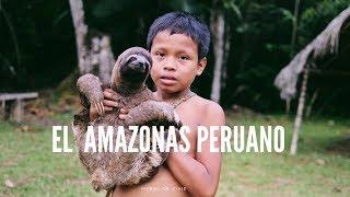 CÓMO es el AMAZONAS I  Mariel de Viaje