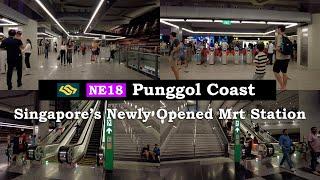 Just in! Punggol Coast Mrt - Singapore's Newest Mrt Station Opened | Public Transport | World Class!