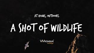 A Shot of Wildlife | At Home Outdoors