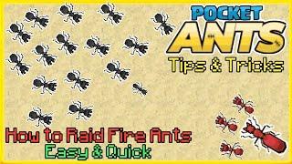 Pocket Ants Tips And Tricks - HOW TO RAID RED ANTS NEST FAST AND EASY