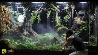 My Baby Crocodile is Hunting Land Creatures in My Giant Rainforest Vivarium